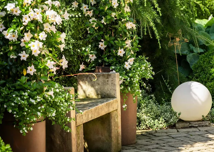 Feichter בית הארחה