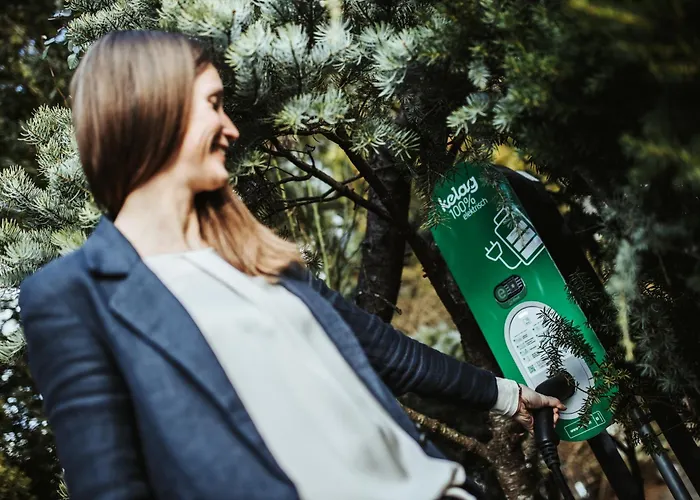 בית הארחה Feichter